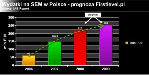 Wydatki na SEM w Polsce